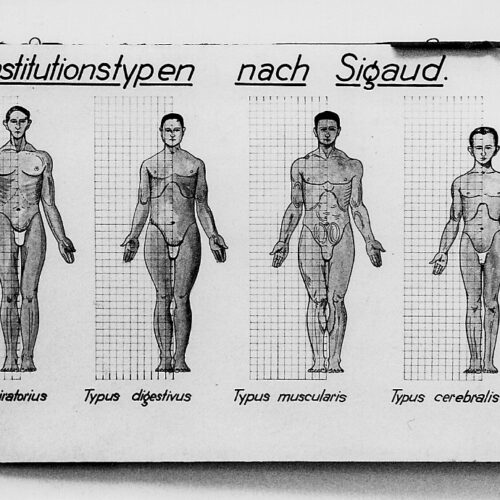 89-0412_Schautafel_Konstitutionstypen